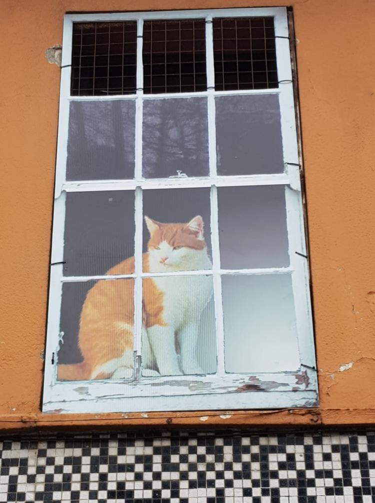 New tenant of no 4,4