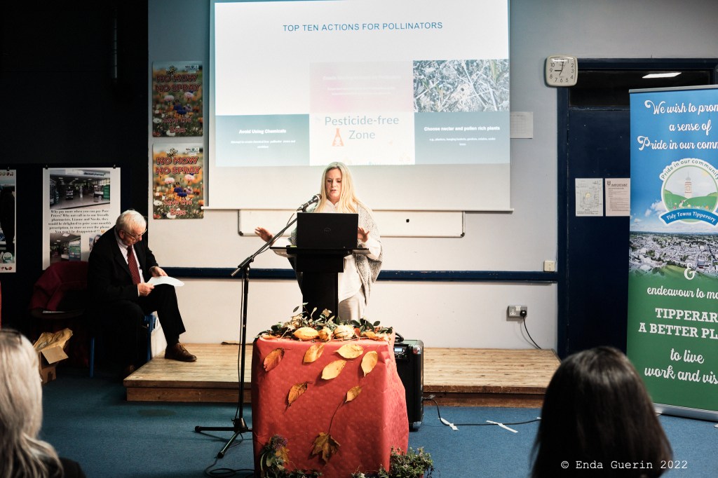 Ruth Broderick outlines the Tipperary Town Landscape & Biodiversity Plan 2022-27