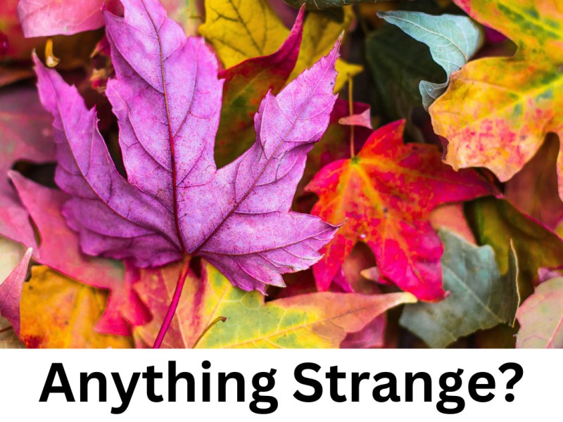 Anything Strange? Arts clubs